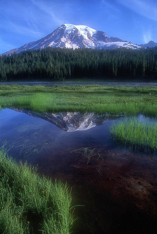 Mount Rainier Reflection #4 Photograph by Dave Mills