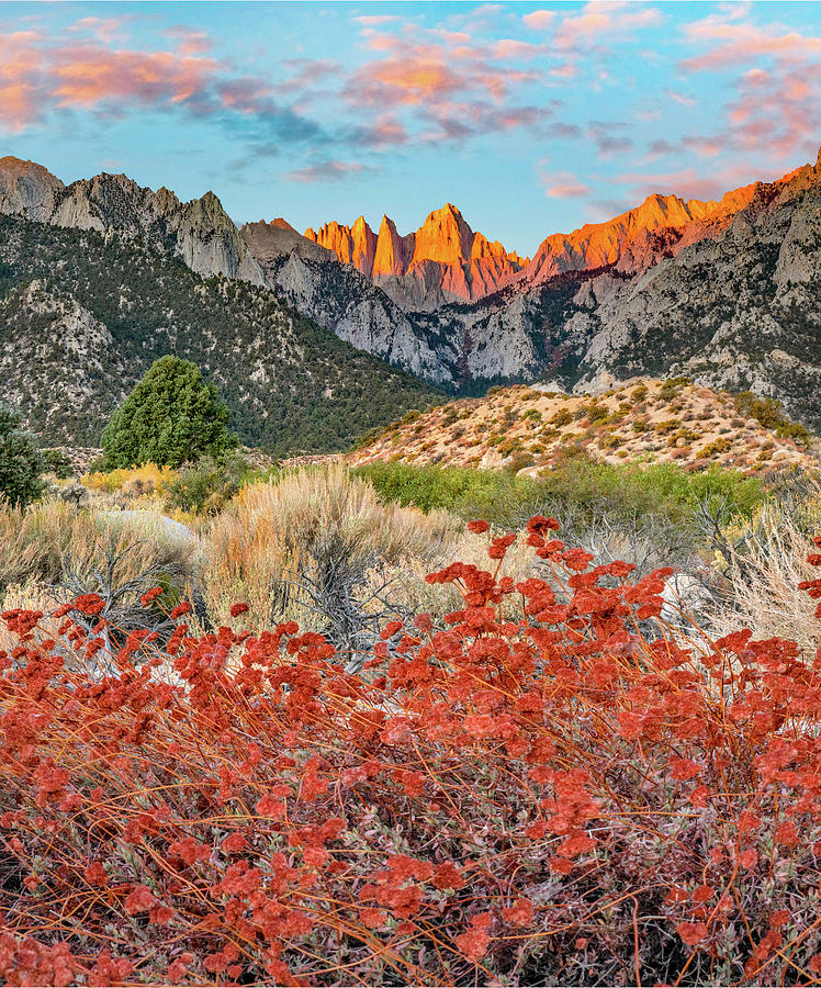 Nature Photograph - Mount Whitney, Sequoia National Park Inyo, National Forest, California, USA #4 by Tim Fitzharris