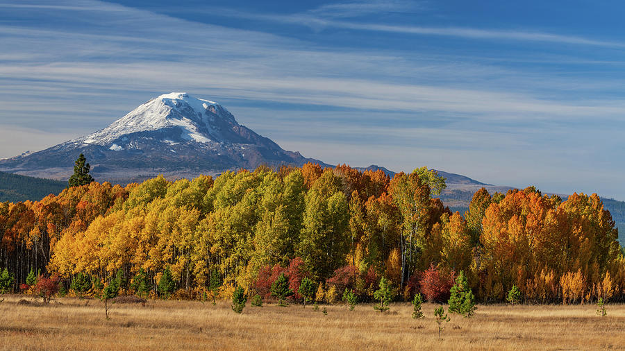 Mt. Adams in Fall Photograph by Patrick Campbell