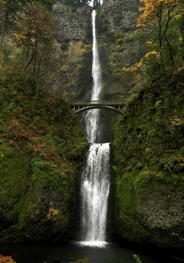 Multnomah Falls #4 Photograph by Whispering Peaks Photography