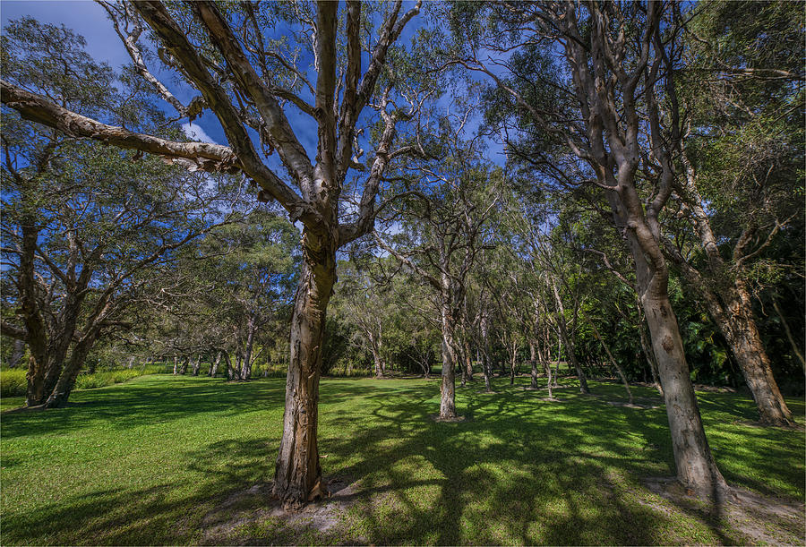 Musgrave Park, Southport, Gold coast, Queensland, Australia. #4 Photograph by Southern Lightscapes-Australia