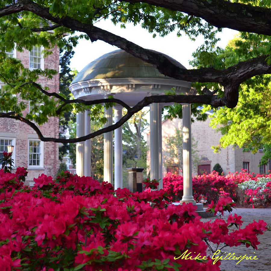 Spring Photograph - Old Well Azaleas by Michael Gillespie