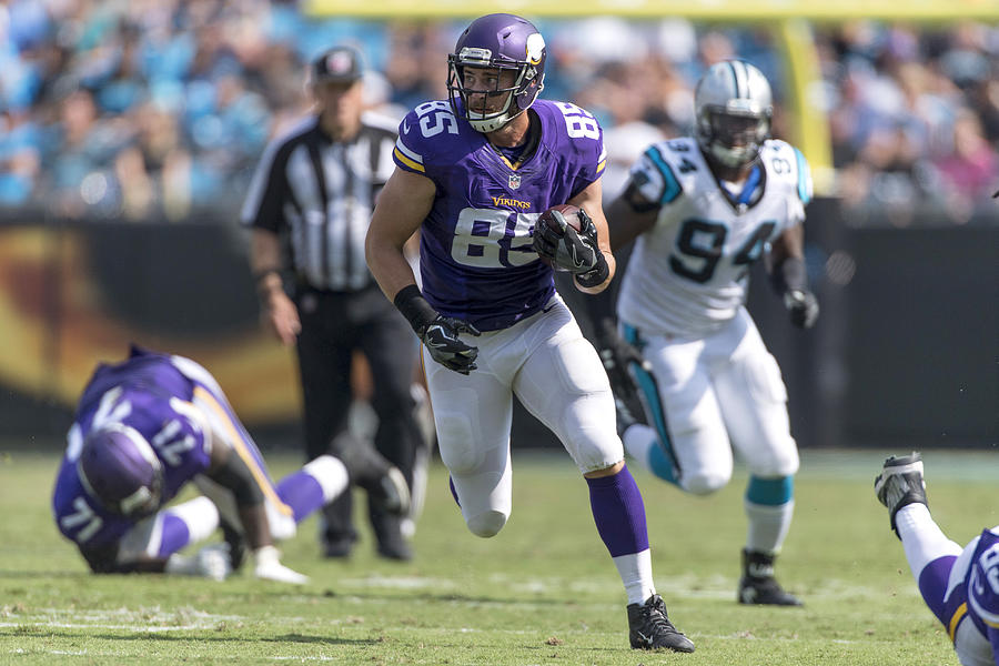 NFL: SEP 25 Vikings at Panthers #4 Photograph by Icon Sportswire