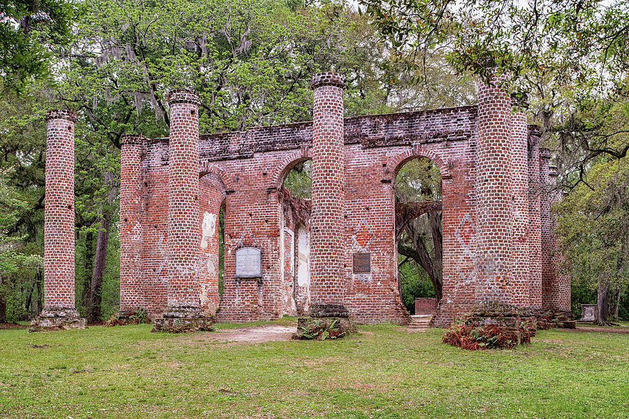 Old Sheldon Church Ruins, South Carolina #4 Photograph by Dawna Moore Photography