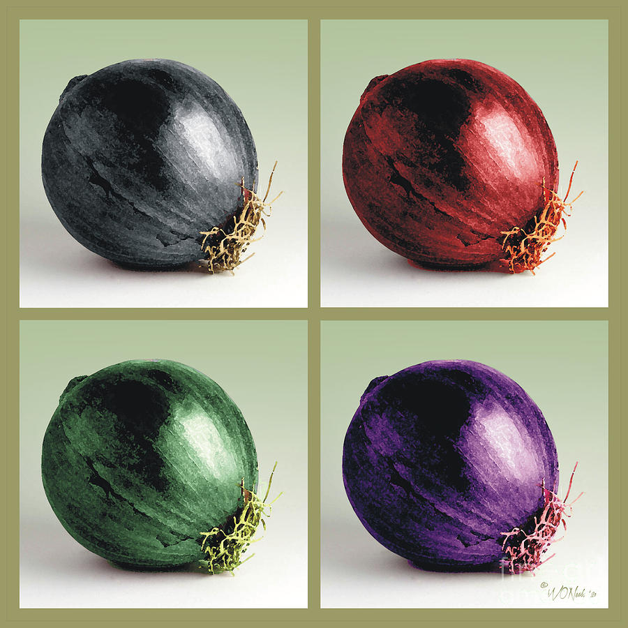Vegetable Digital Art - 4 Onions by Walter Neal