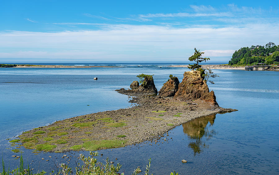Oregon Coast #4 Photograph by Tommy Farnsworth