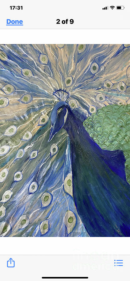Peacock #4 Painting by Duygu Kivanc
