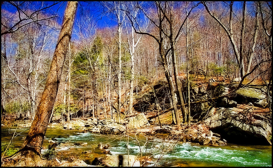 Pennsylvania Stream in Spring #4 Photograph by A Macarthur Gurmankin