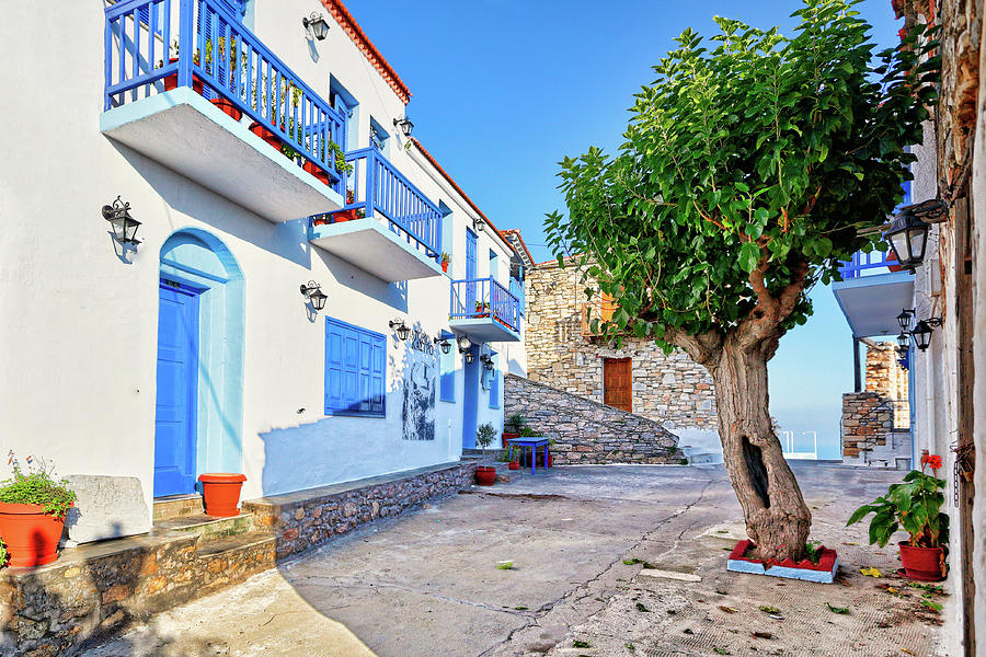 Picturesque alley in the old Chora of Alonissos, Greece #4 Photograph by Constantinos Iliopoulos