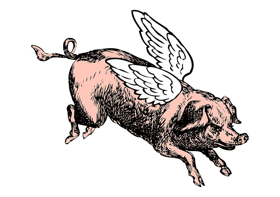 Pig with Wings - No. 5 Digital Art by Eclectic at Heart