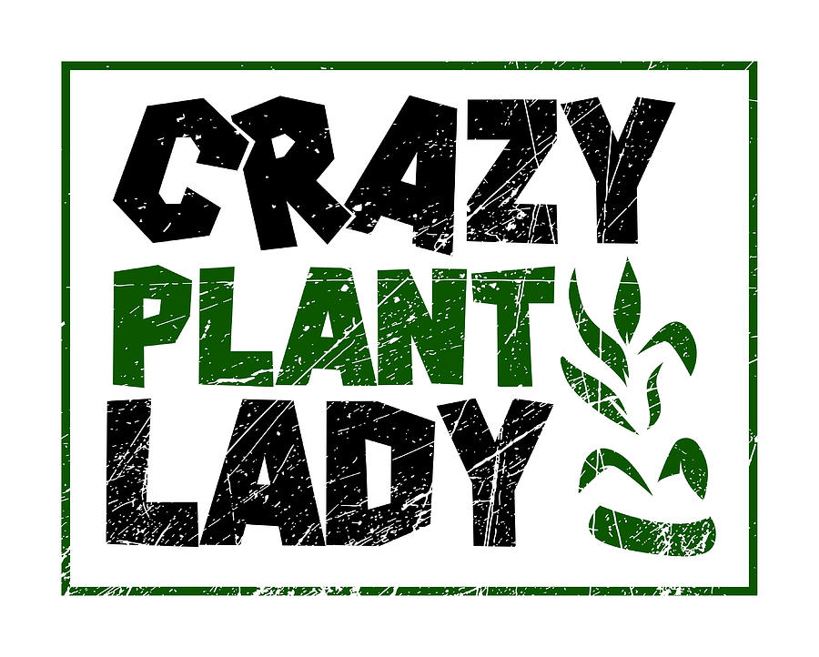 Plants - Crazy Plant Lady #4 Digital Art by Britta Zehm