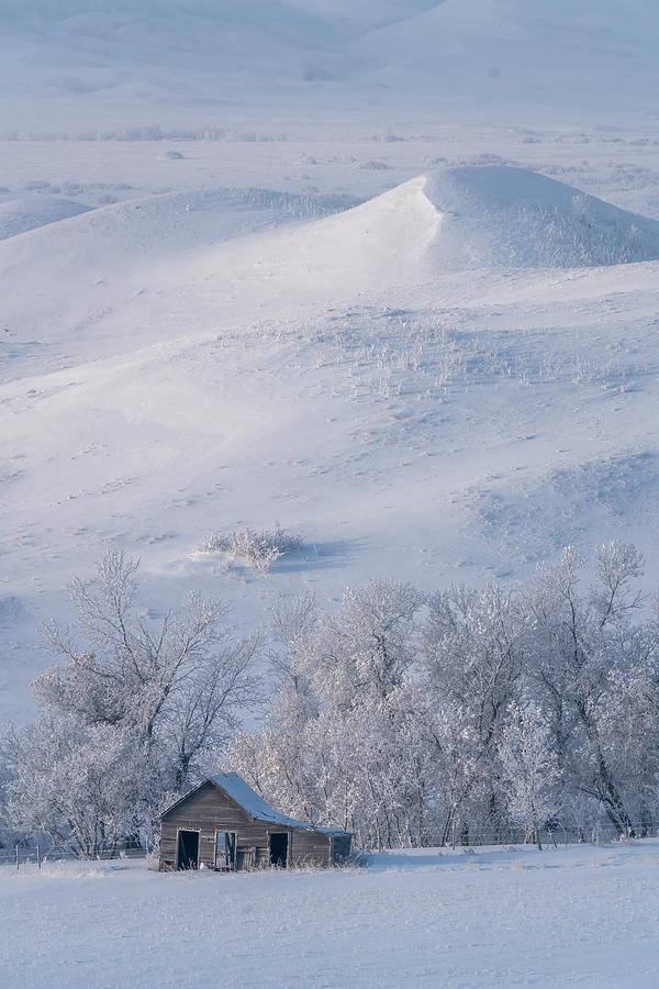 Prairie Winter Scenes Photograph by Mark Duffy - Fine Art America