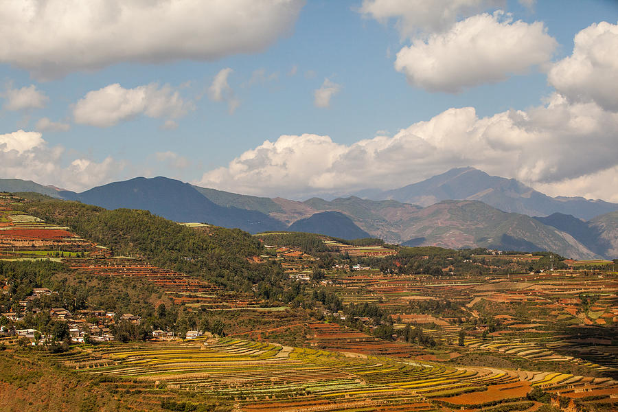 Red soil farmlands in Dongchuan district #4 Photograph by MOAimage