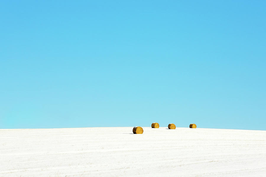 Winter Photograph - 4 Round Bales by Todd Klassy