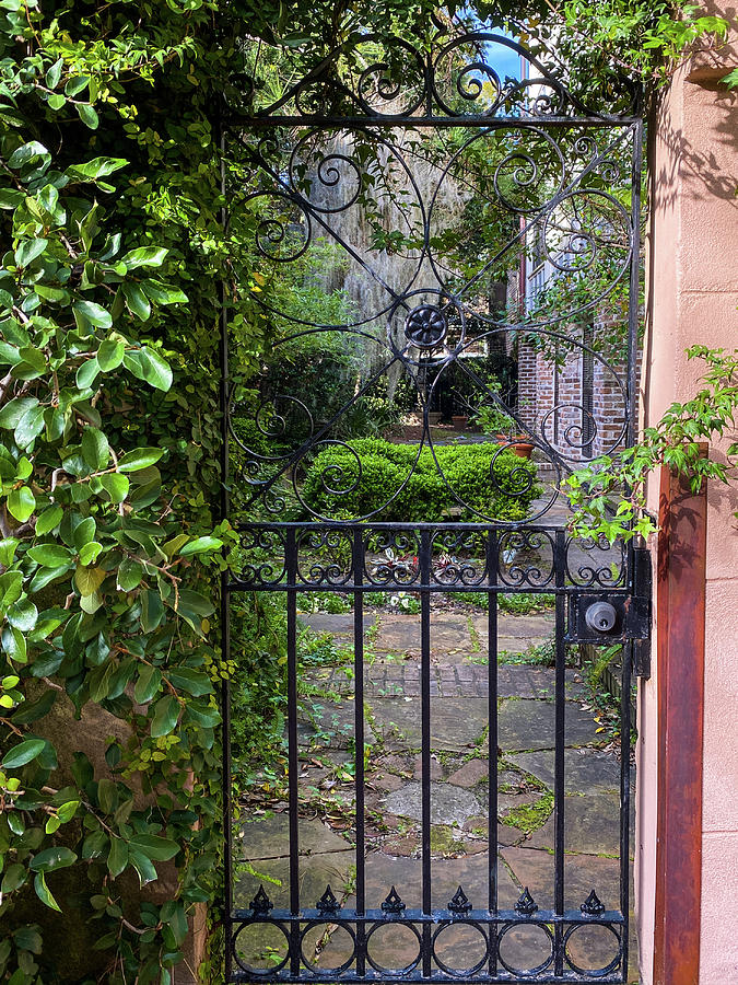 Savannah Wrought Iron Garden Gate, Savannah, Georgia #4 Photograph by Dawna Moore Photography