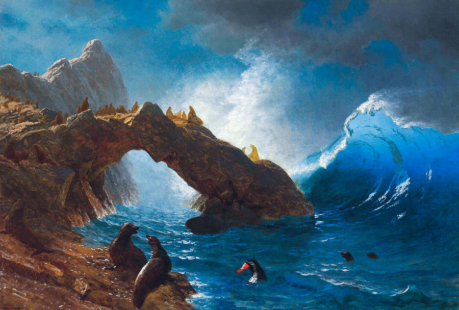 Albert Bierstadt  Painting - Seals on the Rocks #5 by Albert Bierstadt
