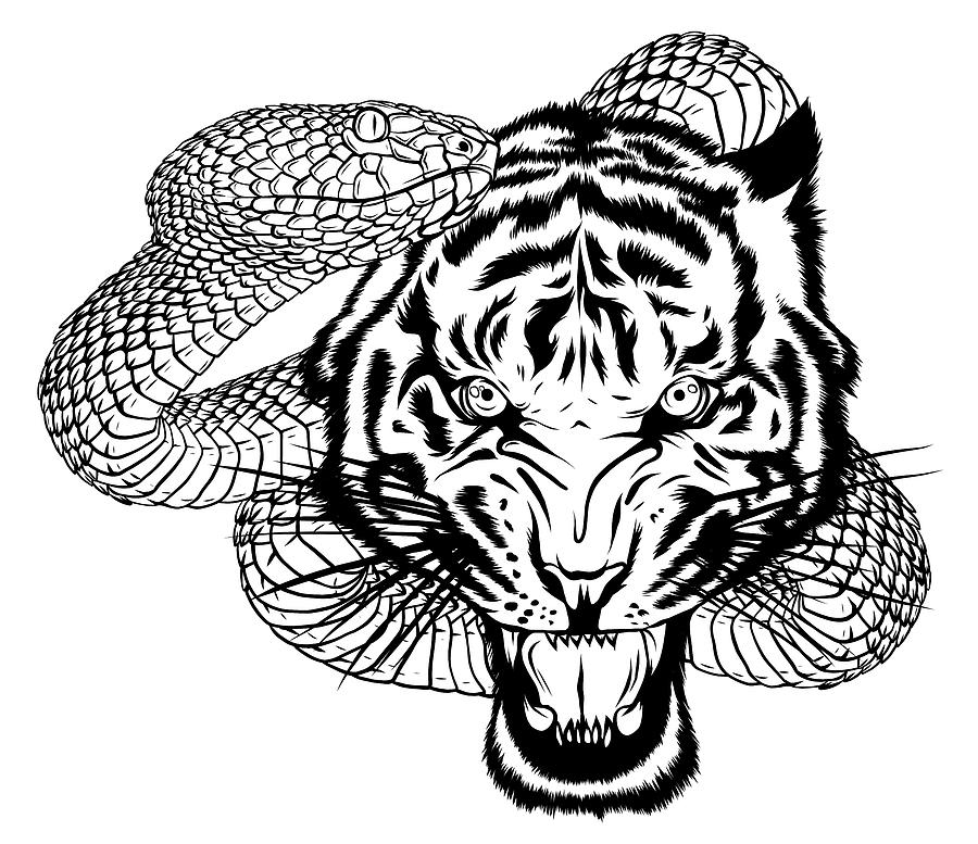 Snake And Tiger Fighting, Tattoo Vector Illustration Digital Art by Dean  Zangirolami - Pixels