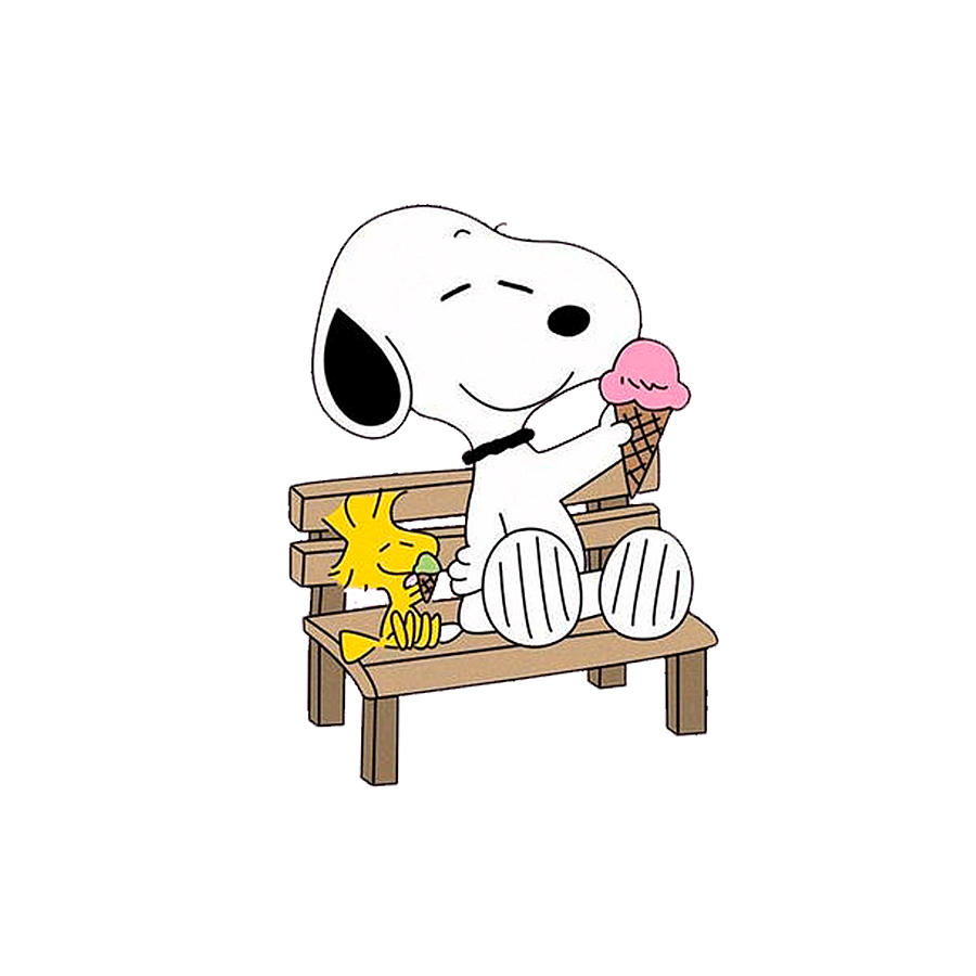 NYY <3  Snoopy pictures, Snoopy images, Snoopy funny