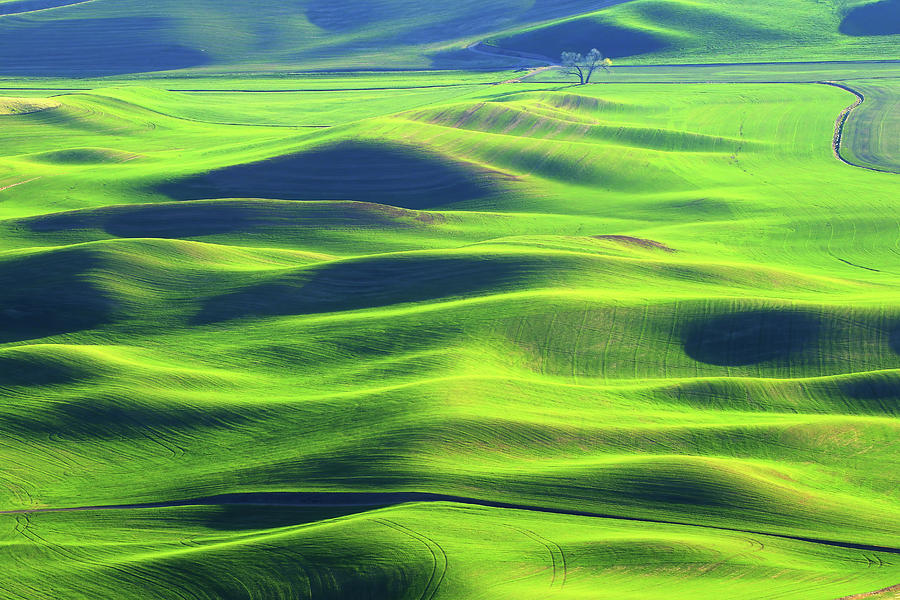Steptoe Butte #4 Photograph by Shixing Wen