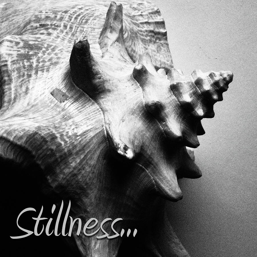 Stillness #4 Photograph by Tom Druin
