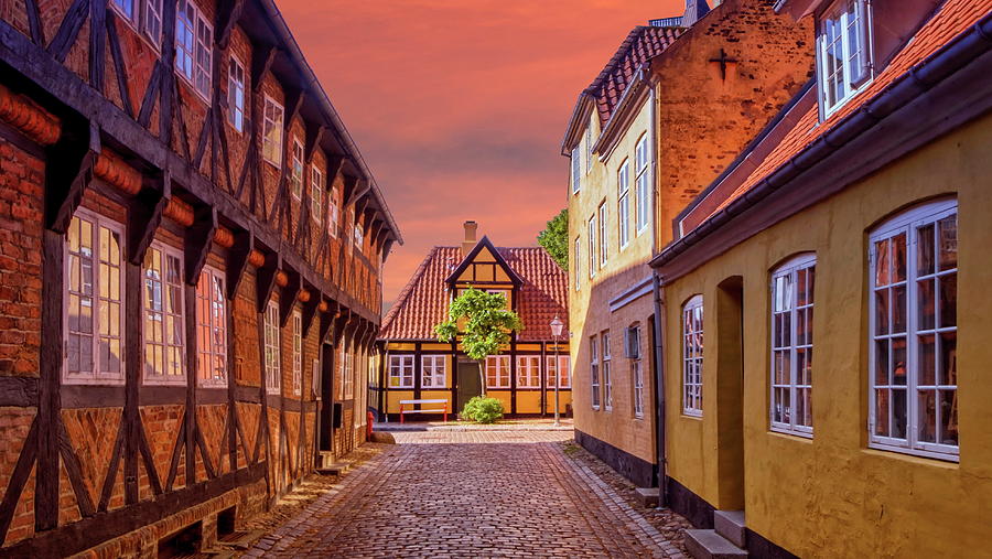 Street and houses in Ribe town, Denmark #4 Photograph by Elenarts - Elena Duvernay photo