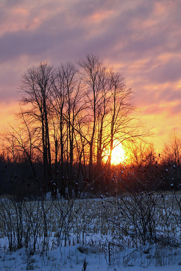 Sunrise #4 Photograph by Brook Burling