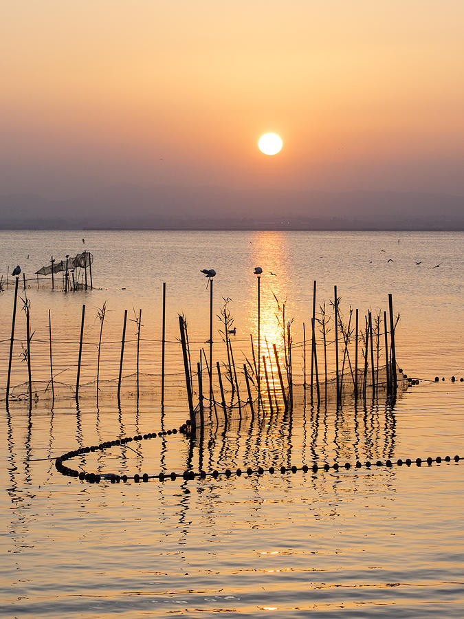 Sunset in Albufera lake, with sticks and handcrafted traps for the fishing, with a boat of wood with passengers in the lake , near Valencia, Spain. #4 Photograph by Jose A. Bernat Bacete
