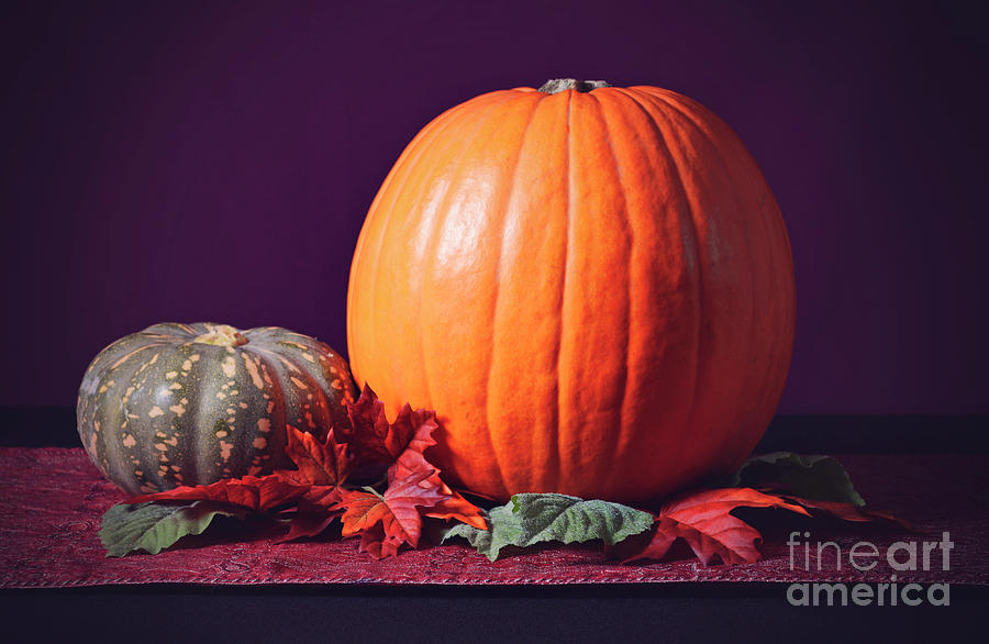 Thanksgiving Photograph - Thanksgiving Pumpkin Centerpiece #4 by Milleflore Images
