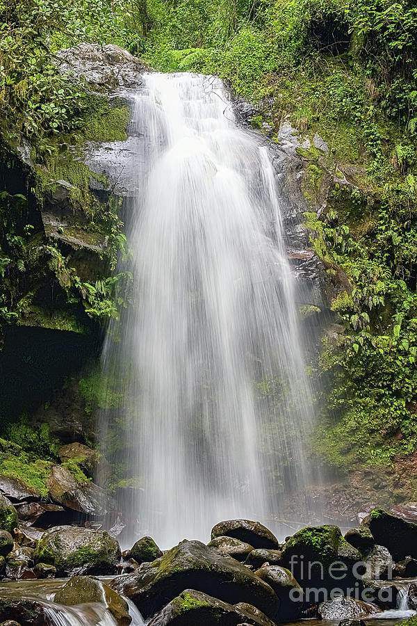 The lost waterfall trail near Boquete in Panama. Fall number thr #4 Photograph by Marek Poplawski