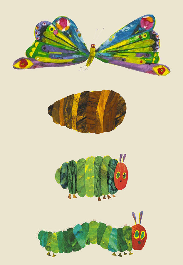 Butterfly Drawing - The very hungry caterpillar. #4 by The Gallery