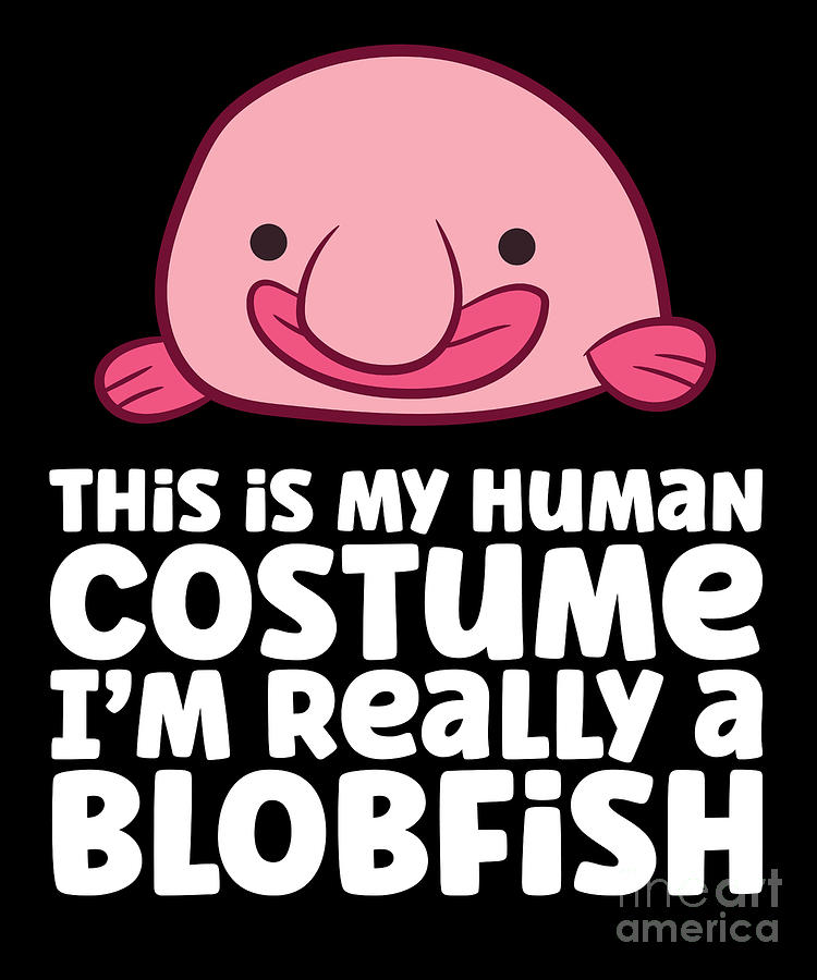 what blobfish really look like