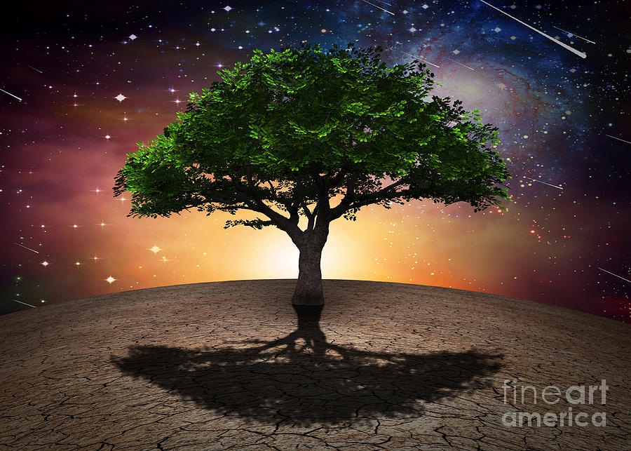 Tree of life #4 Digital Art by Bruce Rolff