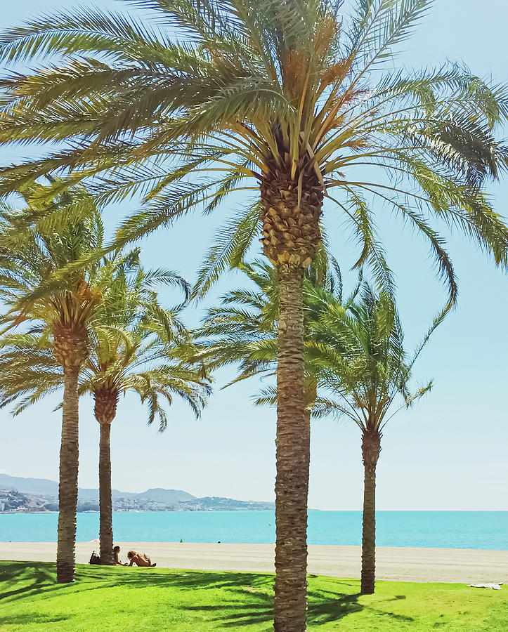 Tropical Palm Trees On The Beach, Summer Nature And Travel Photograph