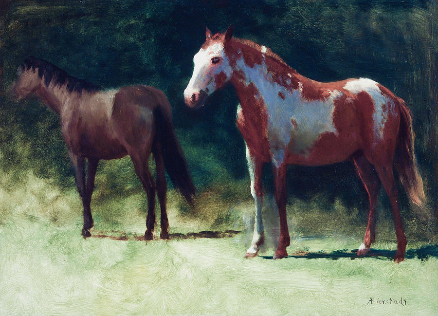 Two Horses #7 Painting by Albert Bierstadt