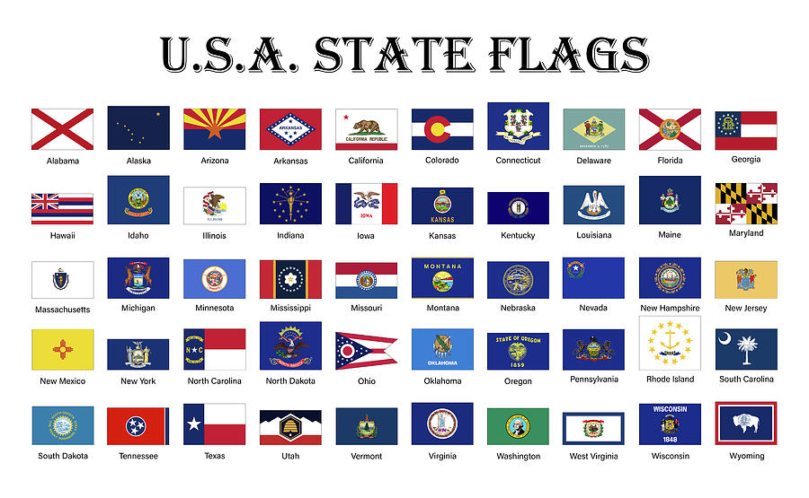 United States Of America State Flags Digital Art By Stockphotosart Com