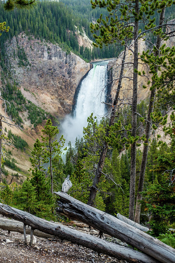 Upper Falls In Yellowstone National Park Wyoming #4 Photograph by Alex Grichenko