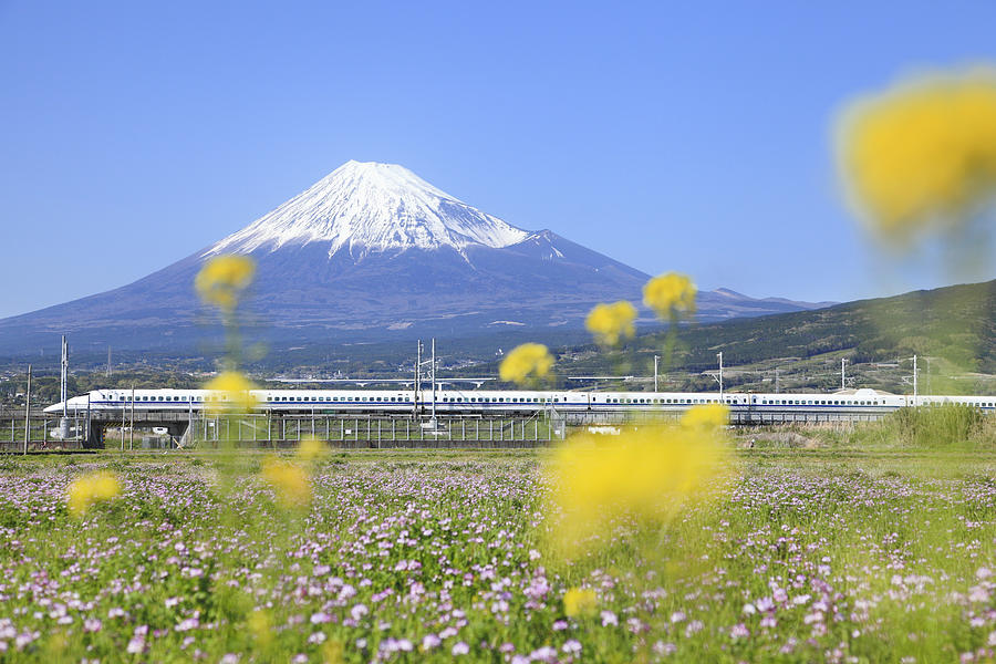 View of Mount Fuji, Japan #4 Photograph by SHOSEI/Aflo