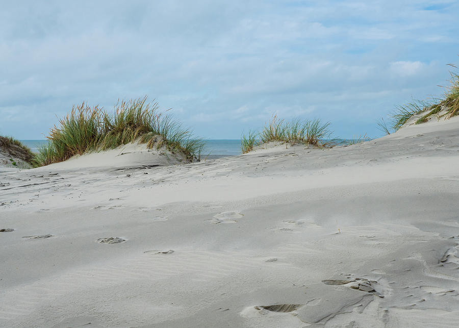 View over the dunes of Ameland, Holland #4 Photograph by Tosca Weijers