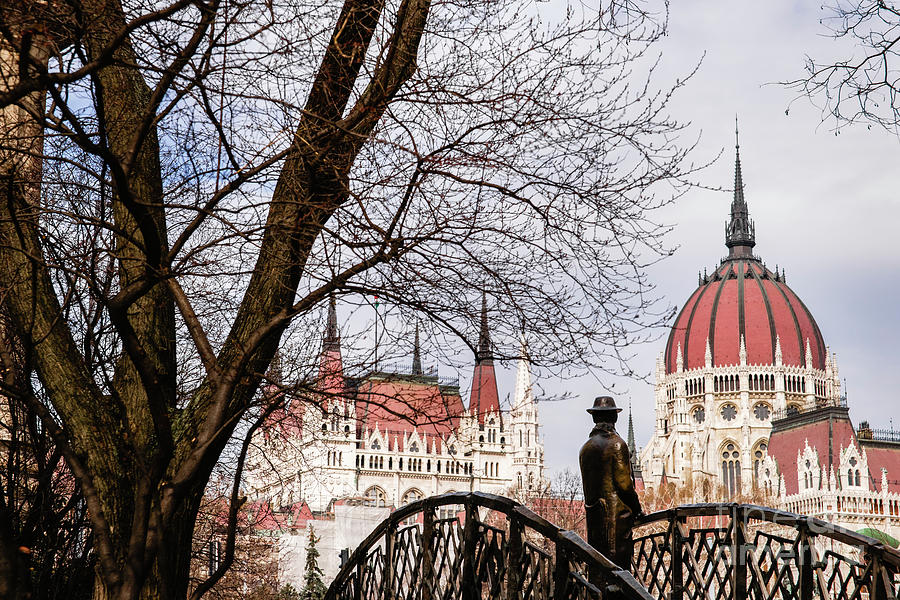 Views of the parliament and other official buildings of Budapest. #4 Photograph by Joaquin Corbalan