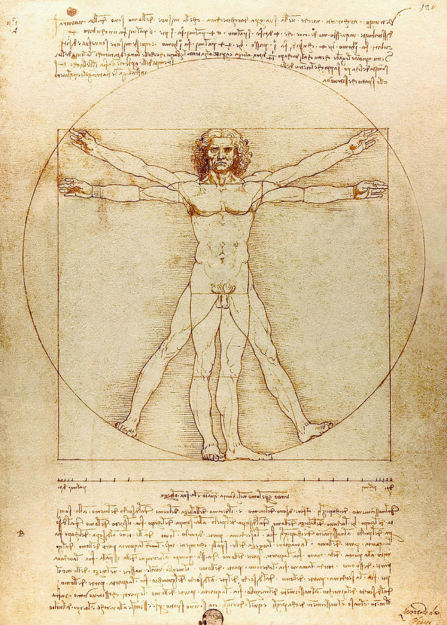 Leonardo Da Vinci Drawing - Vitruvian Man  by Leonardo Da Vinci by Mango Art