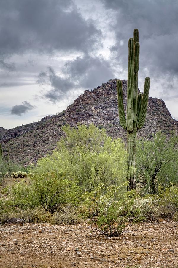 White Tank Mountain Scenes Near Phoenix Arizona #4 Photograph by Kenneth Roberts