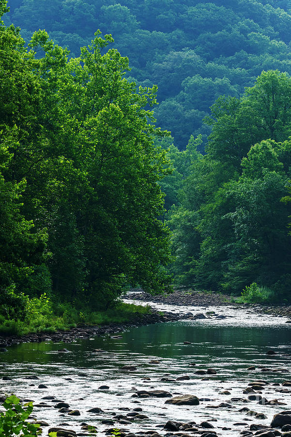 Nature Photograph - Williams River Summer Morning #4 by Thomas R Fletcher