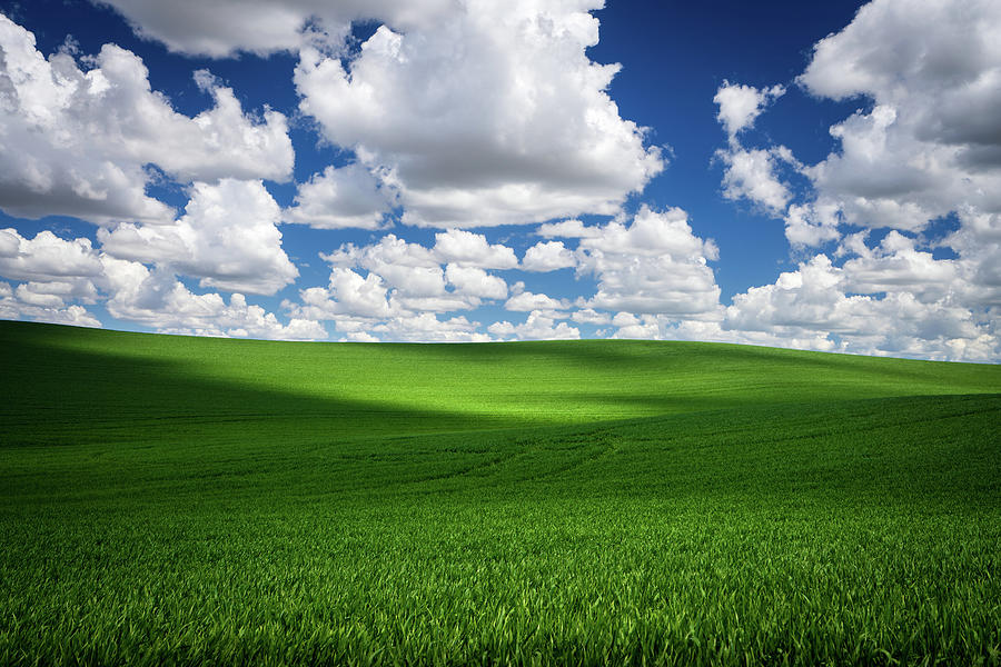 Windows XP Bliss-like Photograph by Neal G - Fine Art America