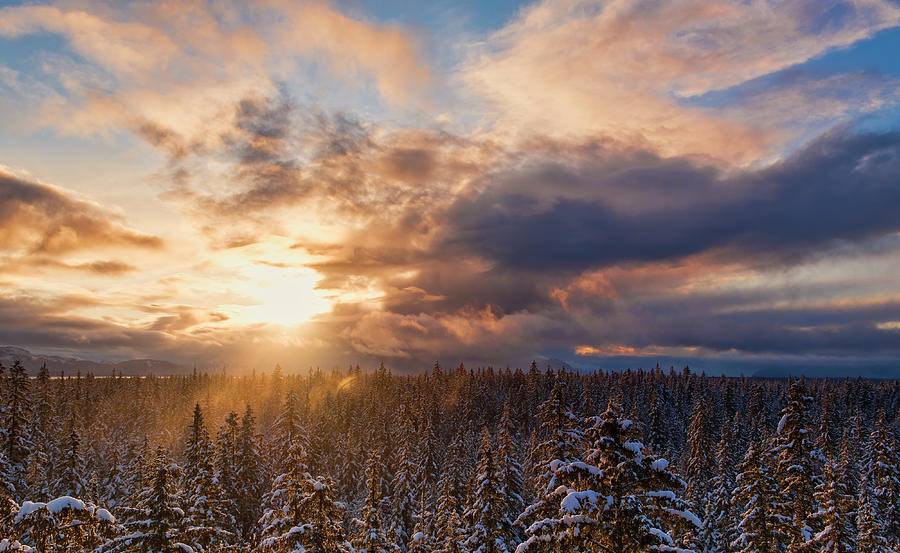 Winter Sunset #4 Photograph by Michele Cornelius