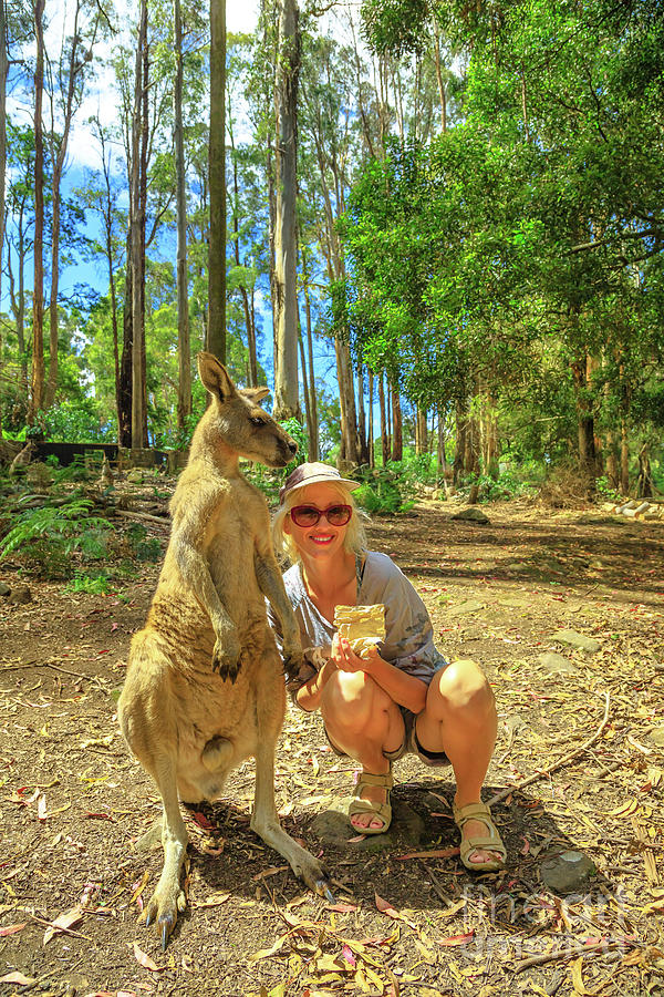 Woman with kangaroo #4 Photograph by Benny Marty