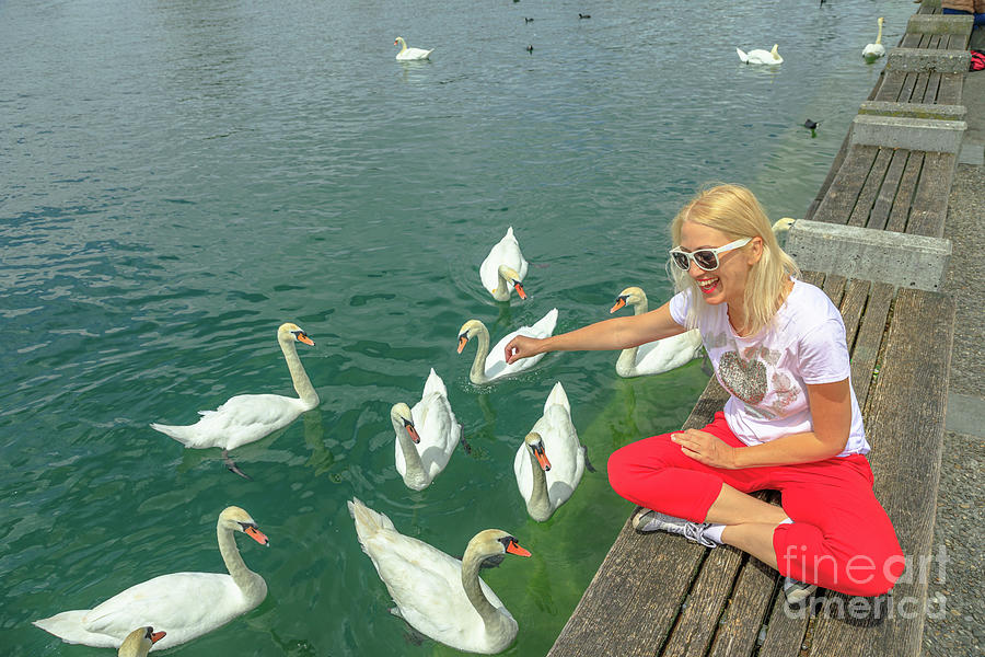 Bird Photograph - Woman with swans in Zurich lake #4 by Benny Marty