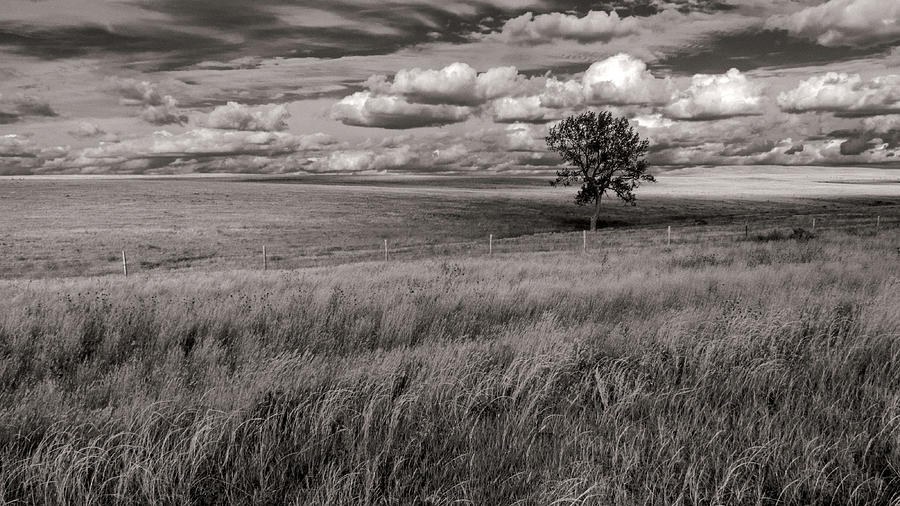 Wyoming Prairie Sepia Toned Photograph by Don Spenner