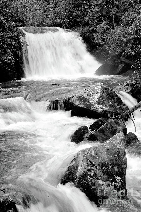 Yellow Creek Falls Photograph by John Stone - Fine Art America