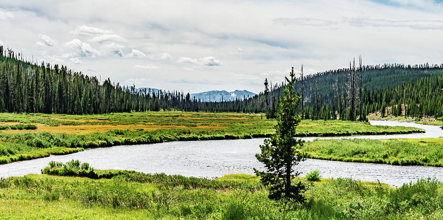 yellowstone national park nature scenes in wyoming USA #4 Photograph by Alex Grichenko