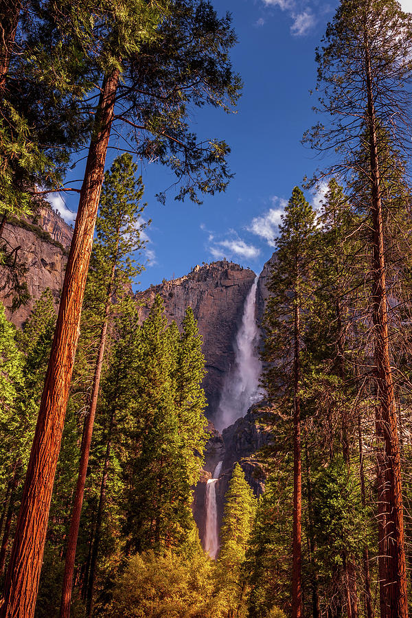 Yosemite Falls #4 Photograph by Andrew Soundarajan